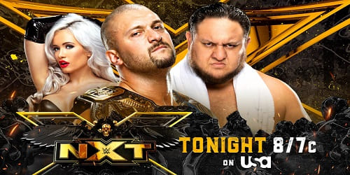 WWE NXT 17 de Agosto 2021 Repeticion