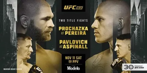 UFC 295 Prochazka vs Pereira En Vivo y Repeticion